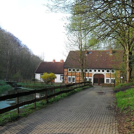 Hoellenmuehle Bed & Breakfast At The Mill Pond Hessisch Oldendorf Extérieur photo