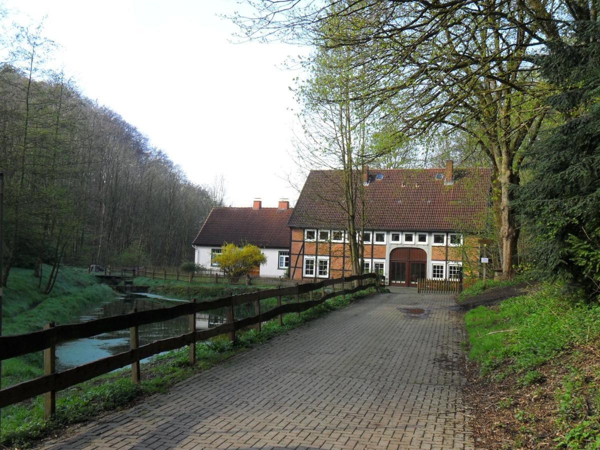 Hoellenmuehle Bed & Breakfast At The Mill Pond Hessisch Oldendorf Extérieur photo