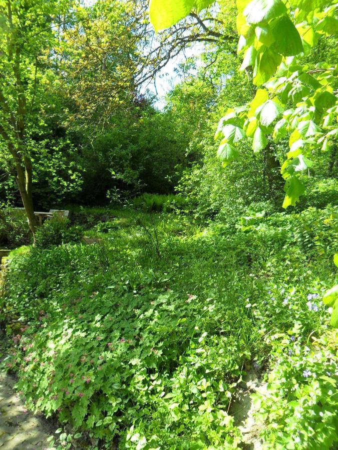 Hoellenmuehle Bed & Breakfast At The Mill Pond Hessisch Oldendorf Extérieur photo