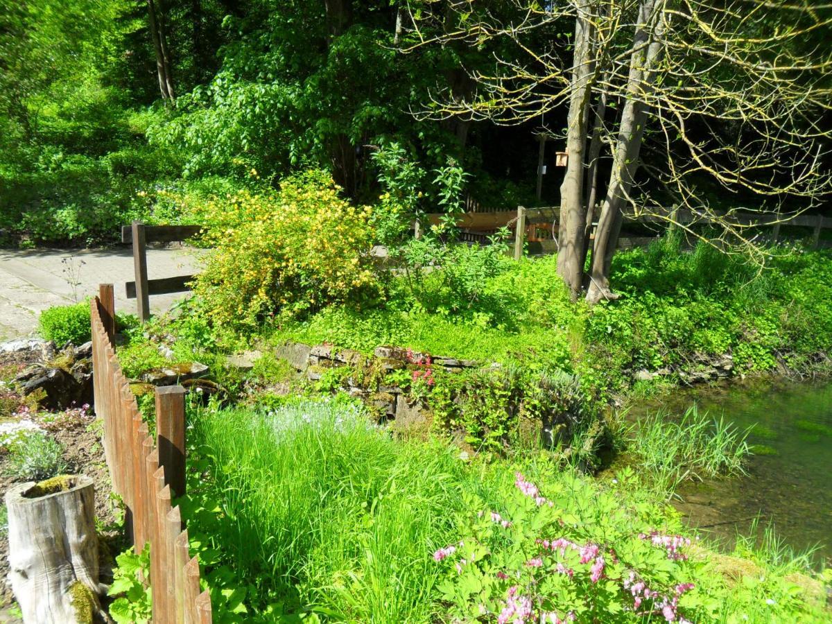 Hoellenmuehle Bed & Breakfast At The Mill Pond Hessisch Oldendorf Extérieur photo