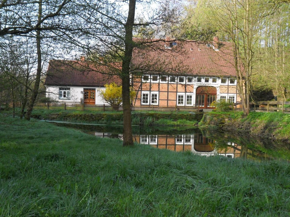 Hoellenmuehle Bed & Breakfast At The Mill Pond Hessisch Oldendorf Extérieur photo