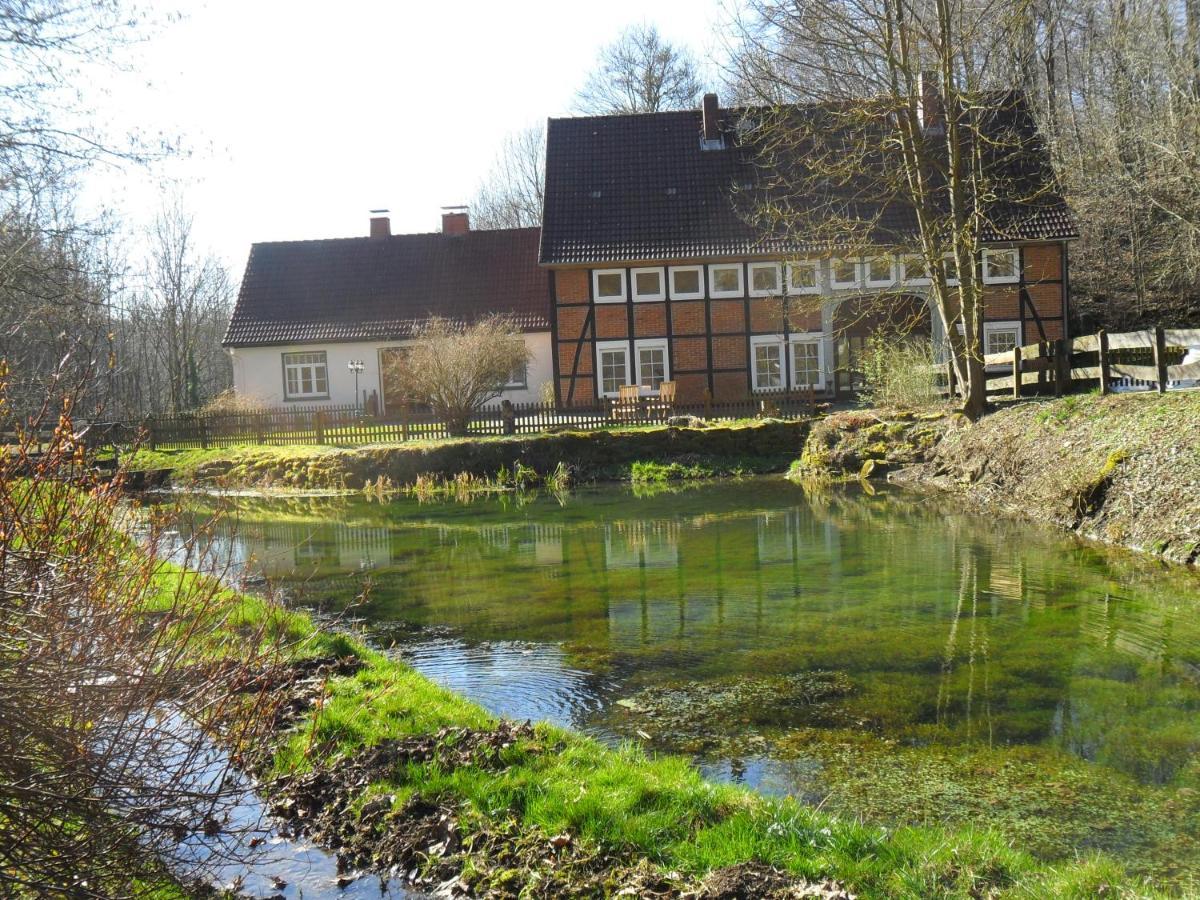 Hoellenmuehle Bed & Breakfast At The Mill Pond Hessisch Oldendorf Extérieur photo