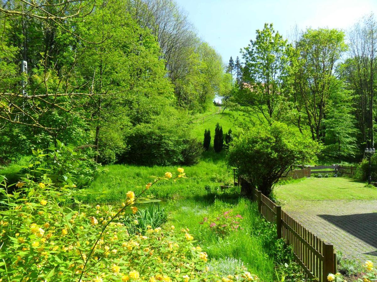 Hoellenmuehle Bed & Breakfast At The Mill Pond Hessisch Oldendorf Extérieur photo